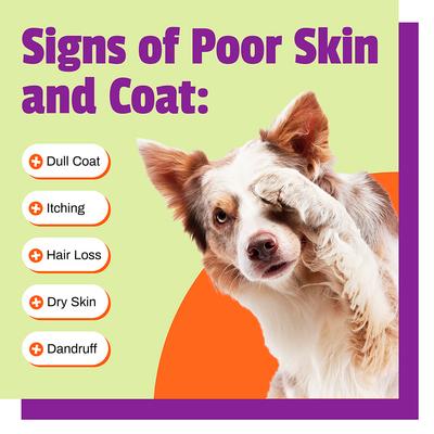 Skin + Coat Dog Chews, 30 count