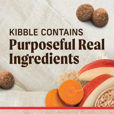 Classic Healthy Grains Real Beef + Brown Rice Recipe with Ancient Grains Adult Dry Dog Food, 33-lb bag