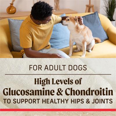 Classic Healthy Grains Real Beef + Brown Rice Recipe with Ancient Grains Adult Dry Dog Food, 33-lb bag