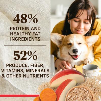 Classic Healthy Grains Real Beef + Brown Rice Recipe with Ancient Grains Adult Dry Dog Food, 33-lb bag