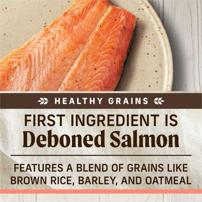 Healthy Grains Raw-Coated Kibble Real Salmon + Brown Rice Recipe Freeze-Dried Dry Dog Food, 10-lb bag