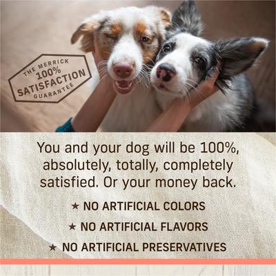 Healthy Grains Raw-Coated Kibble Real Salmon + Brown Rice Recipe Freeze-Dried Dry Dog Food, 10-lb bag