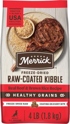 Healthy Grains Raw-Coated Kibble Real Salmon + Brown Rice Recipe Freeze-Dried Dry Dog Food, 10-lb bag