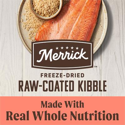 Healthy Grains Raw-Coated Kibble Real Salmon + Brown Rice Recipe Freeze-Dried Dry Dog Food, 10-lb bag