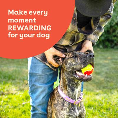 Diced Chicken Breast Limited Ingredient Freeze-Dried Dog Treats, 5.75-oz bag