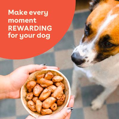 Chicken Hearts Limited Ingredient Freeze-Dried Dog Treats, 4.25-oz bag