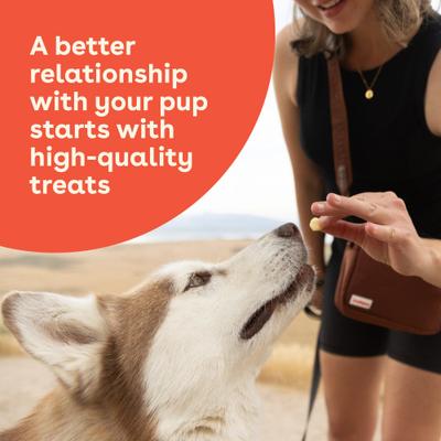 Gouda Crunchies Human-Grade Limited Ingredient Gouda Cheese Flavored Crunchy Dog Treats, 7.5-oz bag