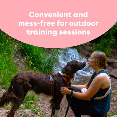 Train Rabbit Natural Freeze-Dried Dog Treats, 2-oz bag