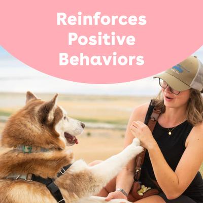 Train Rabbit Natural Freeze-Dried Dog Treats, 2-oz bag