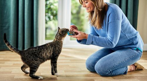 Natural Grain-Free Variety of Fish in Broth Flavored Wet Cat Food, 2.47-oz can, case of 24