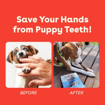 Thick Bully Sticks Dog Chews, 10 count