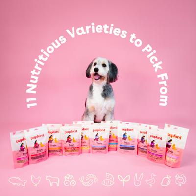 Train Rabbit Natural Freeze-Dried Dog Treats, 2-oz bag