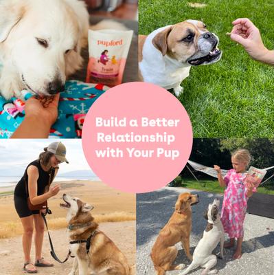 Train Rabbit Natural Freeze-Dried Dog Treats, 2-oz bag