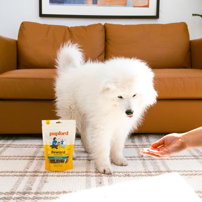 Lamb High-Protein Jerky Dog Treats, 3.5-oz bag