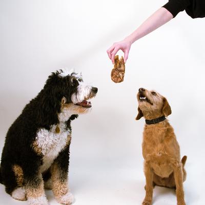 Lamb High-Protein Jerky Dog Treats, 3.5-oz bag