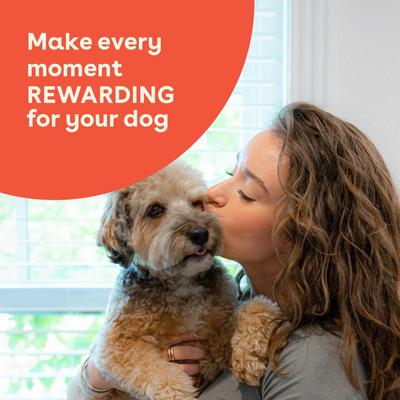 Minnows Limited Ingredient Freeze-Dried Dog Treats, 2.8-oz pouch