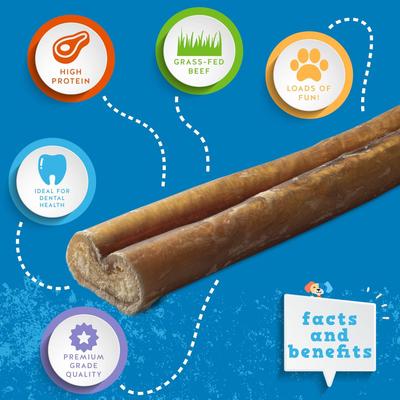 Masticable jumbo de carne de res Bully Stick para perros sin olor, 6 pulgadas, 6 unidades