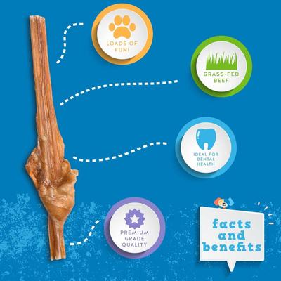 12-inch Junior Bully Stick Dog Chews, 5 count