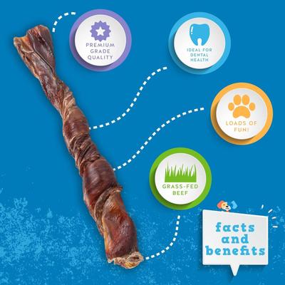 Odor-Free Twisted Beef Bully Stick 6-in Dog Chew