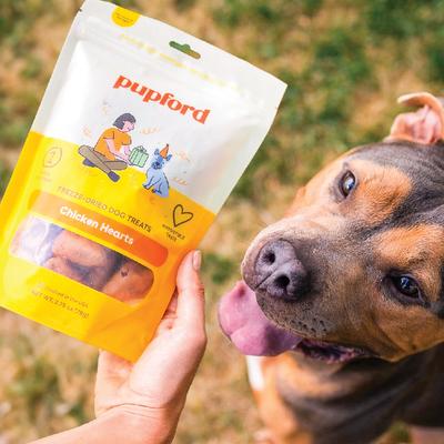 Chicken Hearts Limited Ingredient Freeze-Dried Dog Treats, 4.25-oz bag