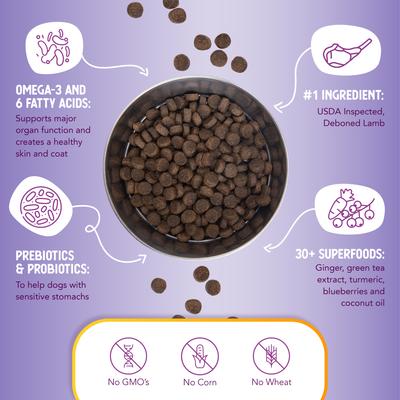 Lamb & Brown Rice Recipe Dry Dog Food, 1-lb bag