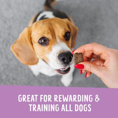 Crunchy Munchies Granola Bites Blueberry Ruffin Dog Treats, 5-oz bag