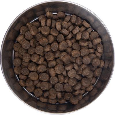 Lamb & Brown Rice Recipe Dry Dog Food, 1-lb bag