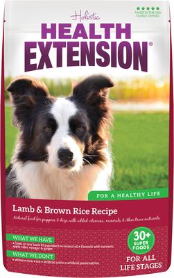 Lamb & Brown Rice Recipe Dry Dog Food, 1-lb bag