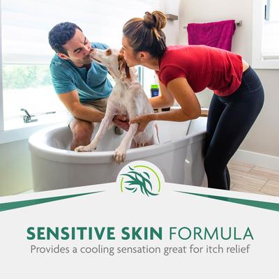 Itch Relief Ultra Premium Shampoo for Dogs, 16-fl oz bottle