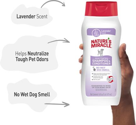Odor Control Dog Shampoo, Lavender Scent, 16-oz bottle
