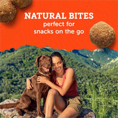Adventure Bites Chicken & Pumpkin Recipe Soft & Chewy Dog Treats, 6-oz pouch