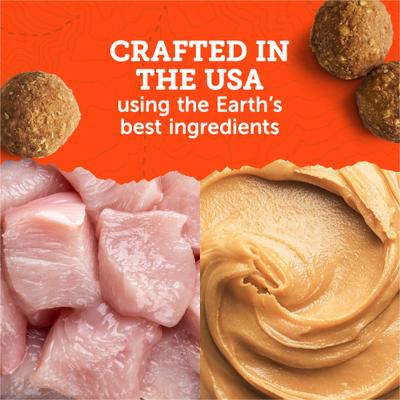 Adventure Bites Chicken & Pumpkin Recipe Soft & Chewy Dog Treats, 6-oz pouch