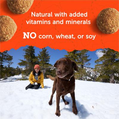 Adventure Bites Chicken & Pumpkin Recipe Soft & Chewy Dog Treats, 6-oz pouch