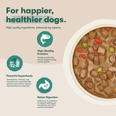 Alimento húmedo para perros sin cereales, estofado de caldo de huesos con salmón y verduras, lata de 13 oz, caja de 12