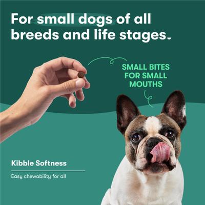 Small Breed Salmon, Sweet Potato & Carrot Recipe Dry Dog Food, 11.5-lb