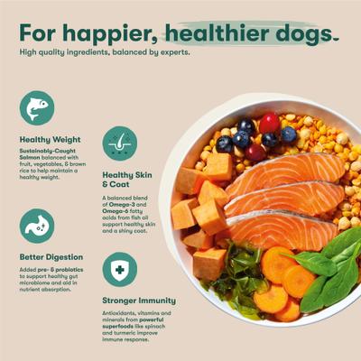 Small Breed Salmon, Sweet Potato & Carrot Recipe Dry Dog Food, 11.5-lb