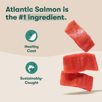 Small Breed Salmon, Sweet Potato & Carrot Recipe Dry Dog Food, 11.5-lb