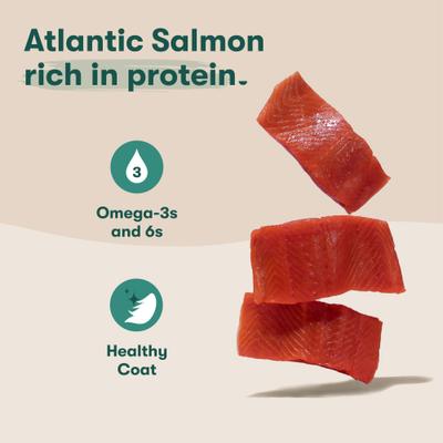 Alimento húmedo para perros sin cereales Salmon & Chicken Homemades, bolsa de 9 oz, caja de 12