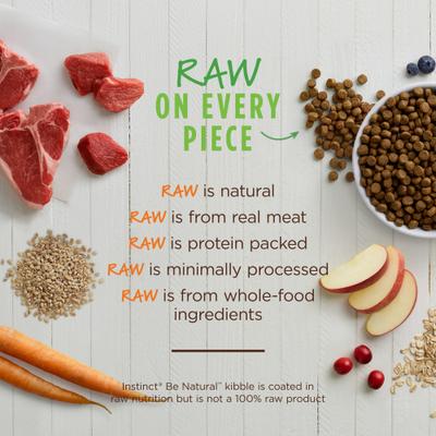 Be Natural Adult Real Lamb & Oatmeal Recipe Dry Dog Food, 24-lb bag