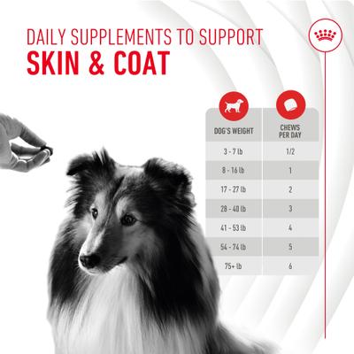 Skin & Coat Support Soft Chews Supplement for Adult Dogs, 60 count