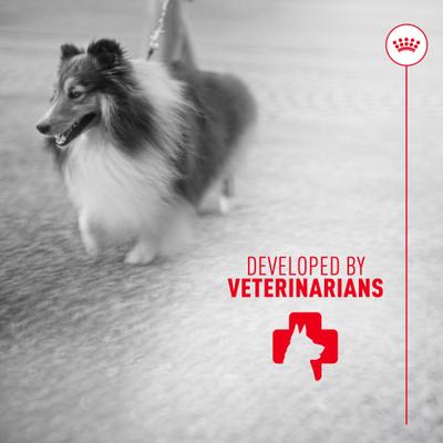 Suplemento masticable suave para el cuidado de la piel y el pelaje de perros adultos, 60 unidades