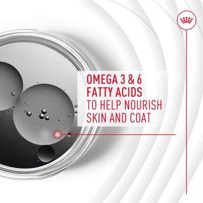 Skin & Coat Support Soft Chews Supplement for Adult Dogs, 60 count