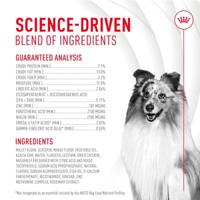 Skin & Coat Support Soft Chews Supplement for Adult Dogs, 60 count