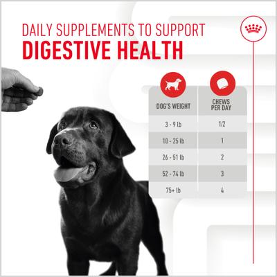 Digestive Support Soft Chews Supplement for Adult Dogs, 60 count, bundle of 4