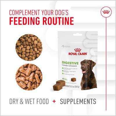Digestive Support Soft Chews Supplement for Adult Dogs, 60 count, bundle of 4