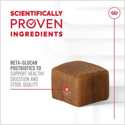 Digestive Support Soft Chews Supplement for Adult Dogs, 60 count, bundle of 4