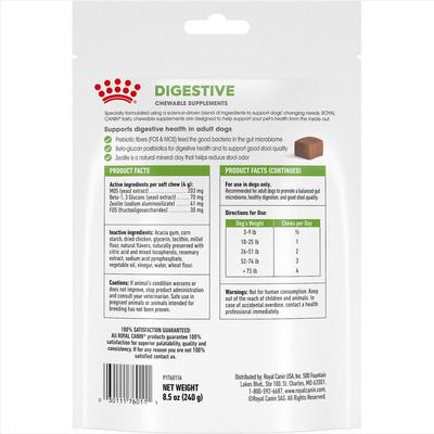 Digestive Support Soft Chews Supplement for Adult Dogs, 60 count, bundle of 4