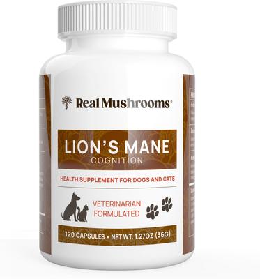 Lion's Mane Capsule Cognitive Supplement for Dogs & Cats, 120 count