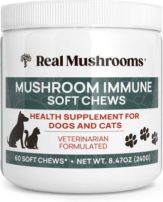Mushroom Immune Chews Supplement for Dogs & Cats, 60 count