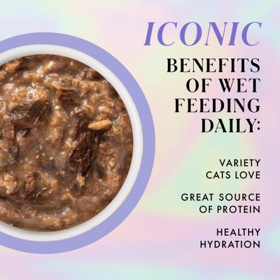 Beef & Chicken Dinner in Gravy Grain-Free Shredded Wet Cat Food, 2.47-oz pouch, case of 12